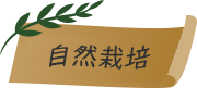 自然栽培