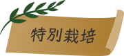特別栽培