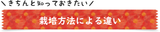 栽培方法による違い
