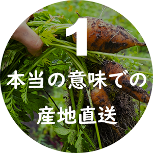 本当の意味での産地直送