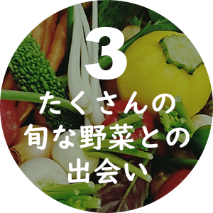たくさんの旬な野菜との出会い