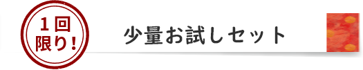 1回限り！少量お試しセット